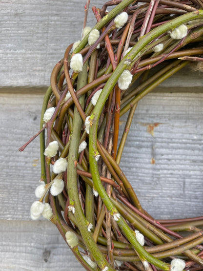Pussy Willow Wreath